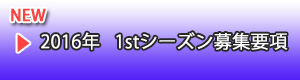 1stシーズン 関連資料